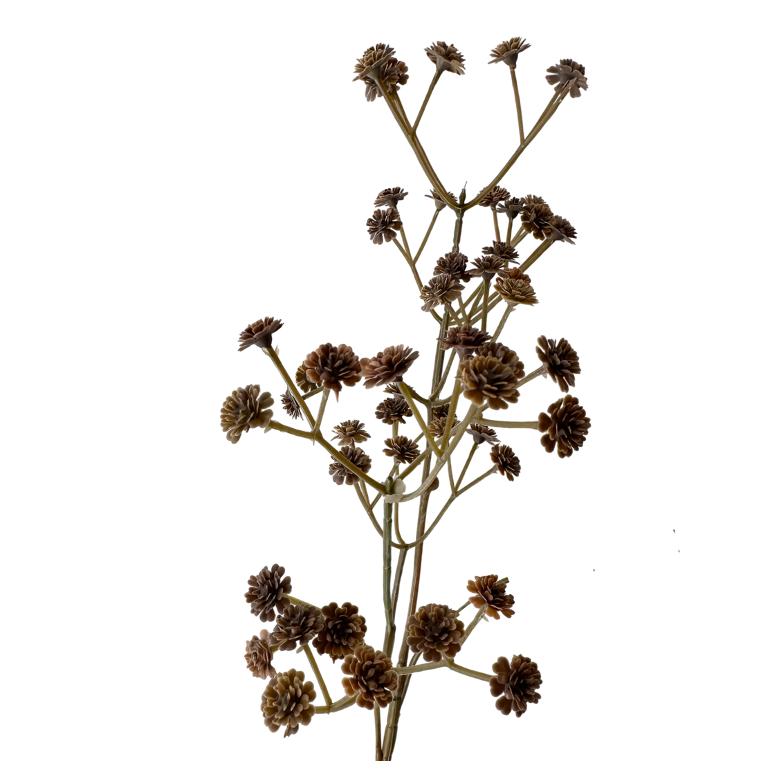 24" Brown Babysbreath