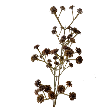 24" Brown Babysbreath
