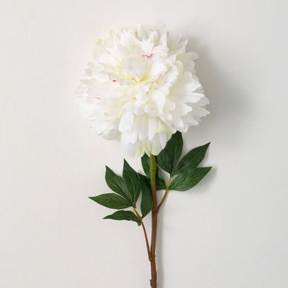 Off White  Peony Stem - 34&quot; Long