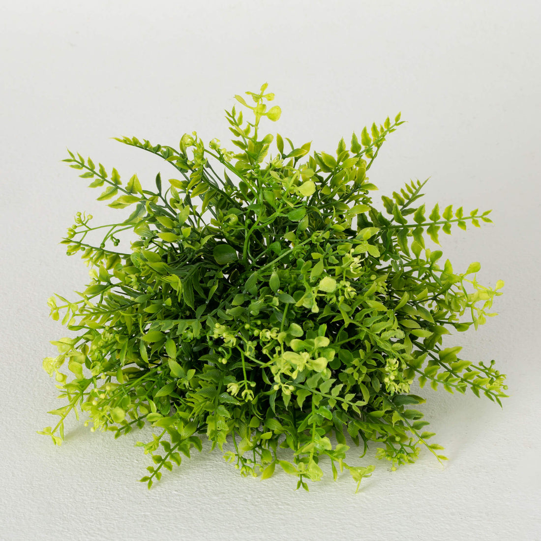 Fern &amp; Lemon Grass Orb