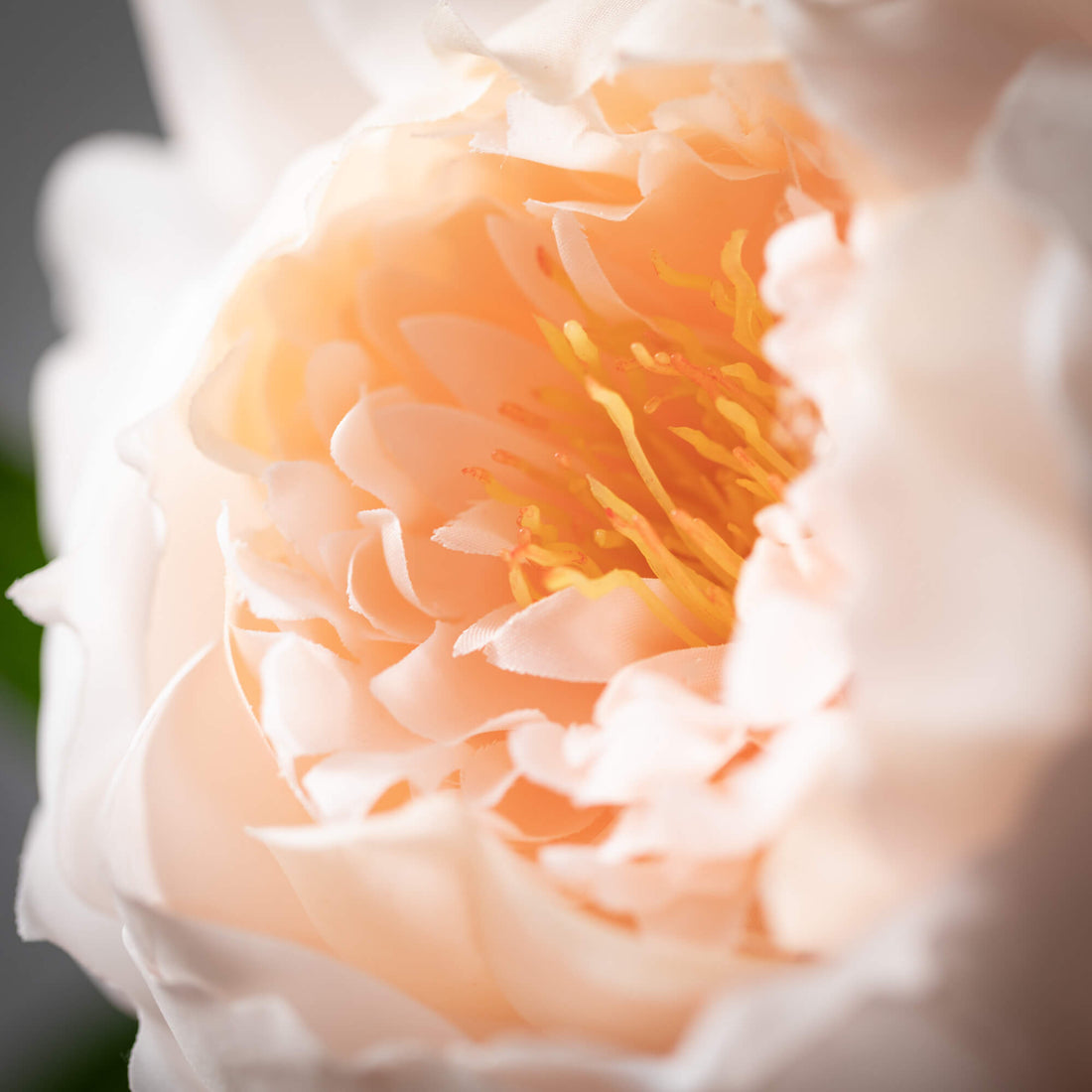 Peony Spray - Blush Pink