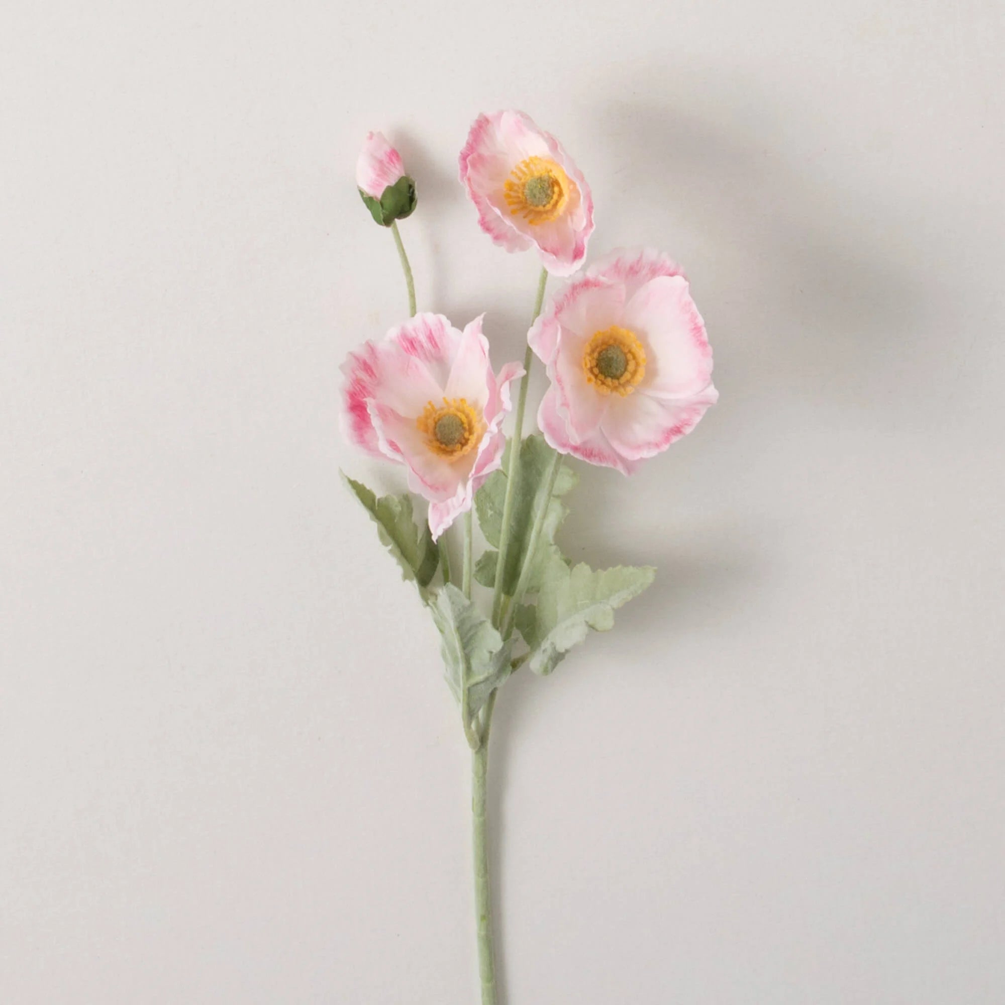 Poppy Stem - Soft Pink