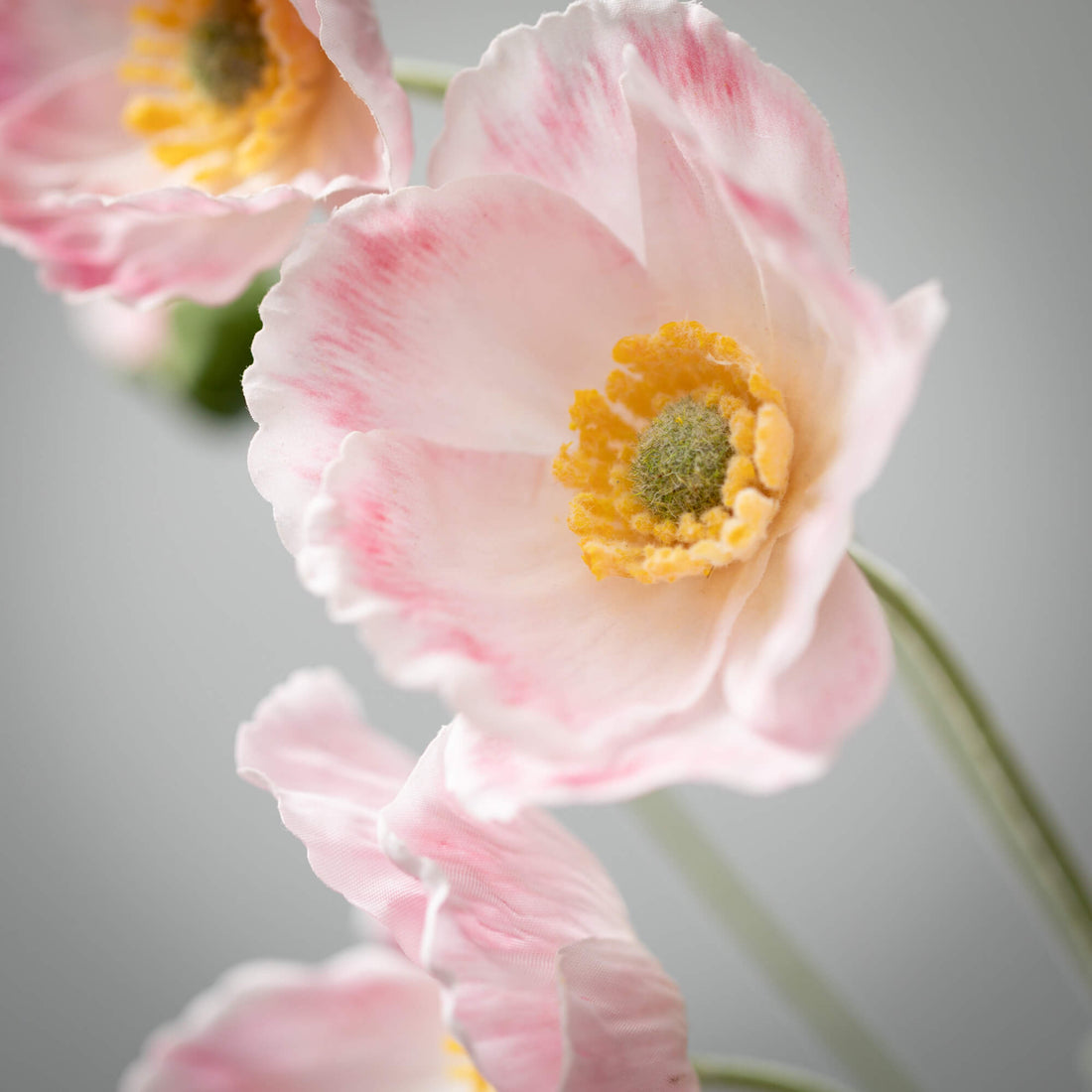 Poppy Stem - Soft Pink