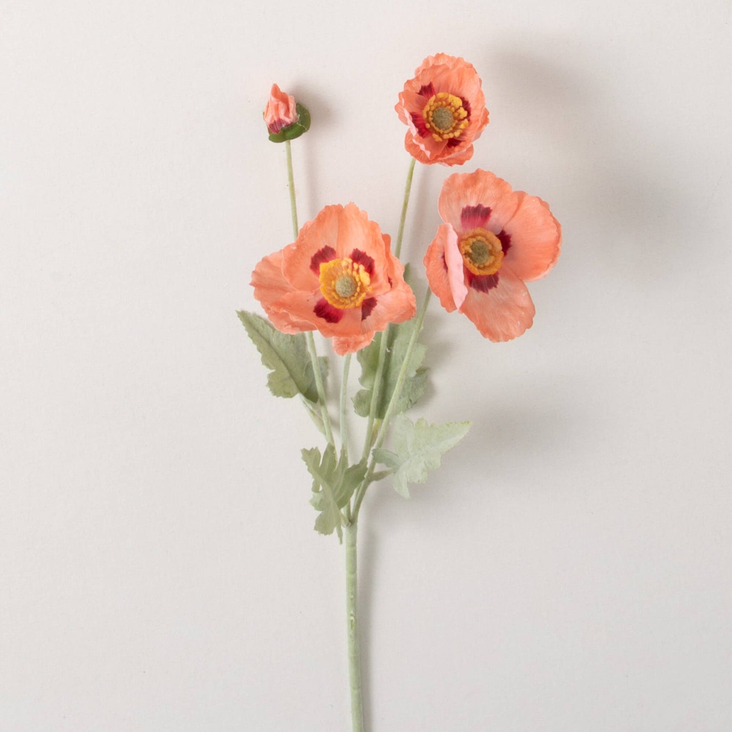 Poppy Stem - Peach