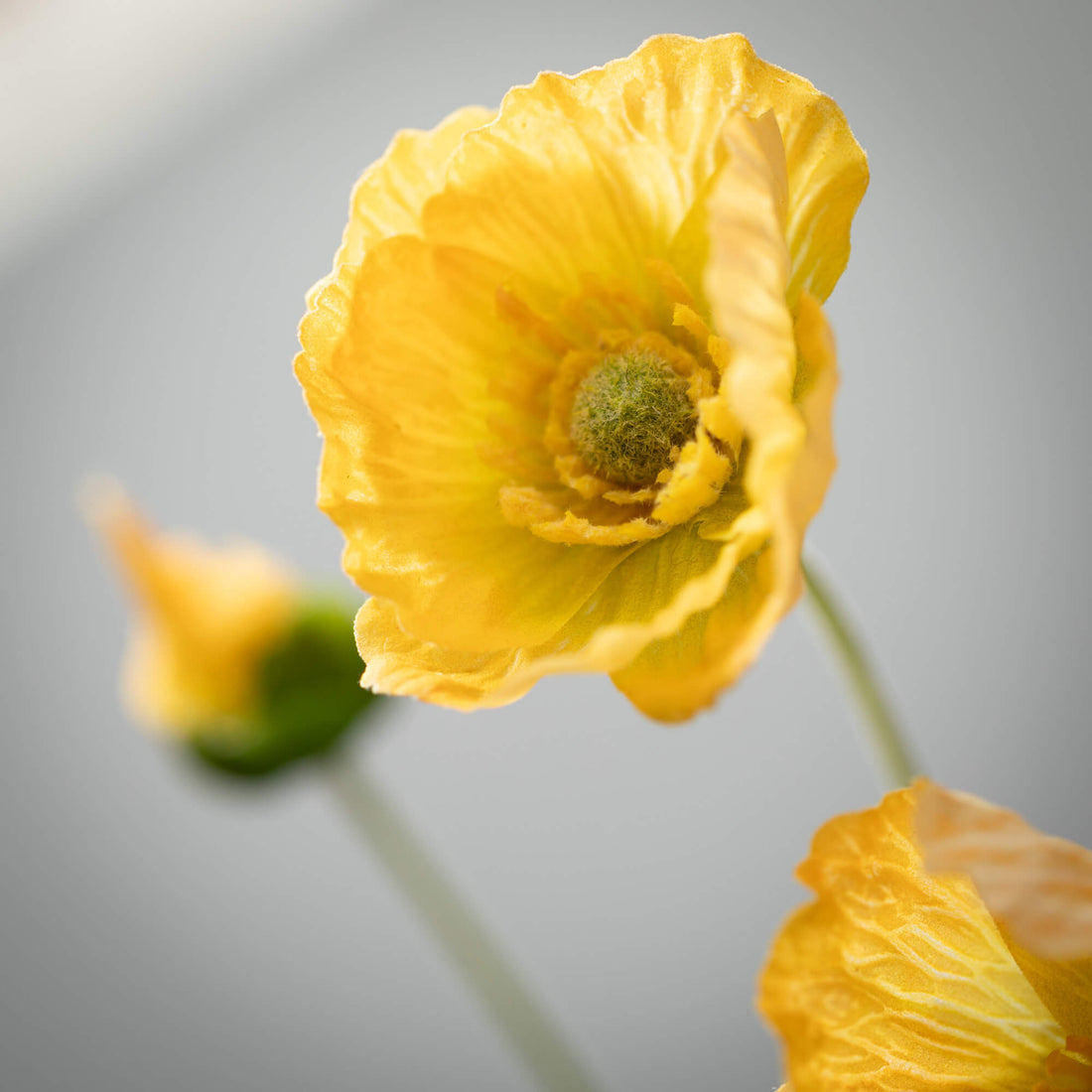 Poppy Stem - Yellow