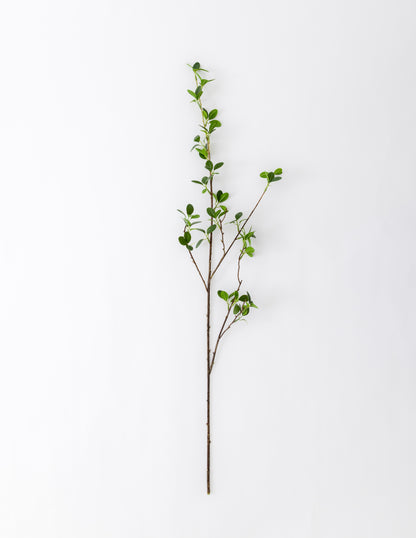 Green Leaf Stem 40&quot;