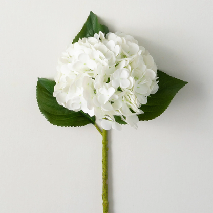 White Hydrangea Stem - 20&quot;