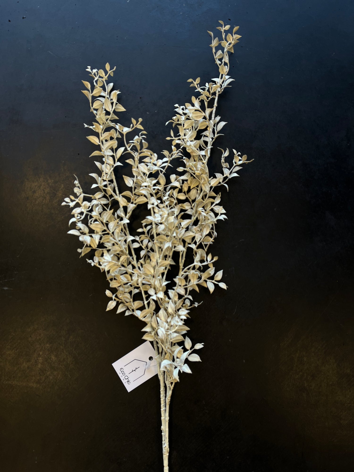 Smilax Stem - 35&quot;