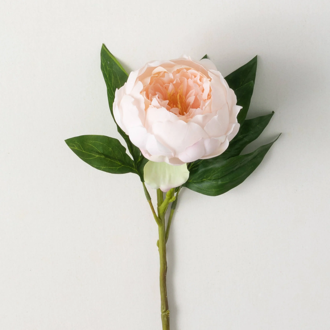 Peony Spray - Blush Pink