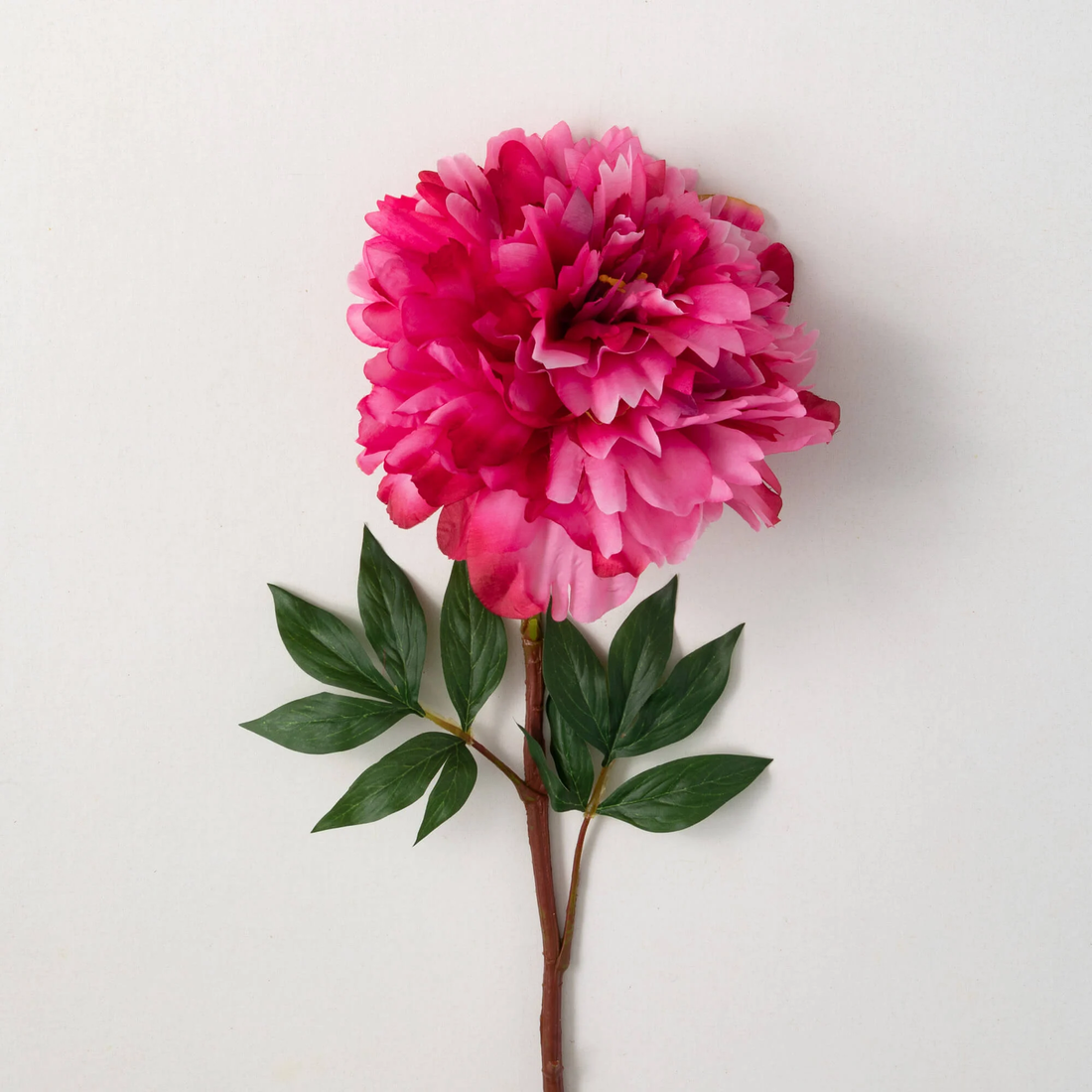 Dark Pink Peony Stem - 34&quot;