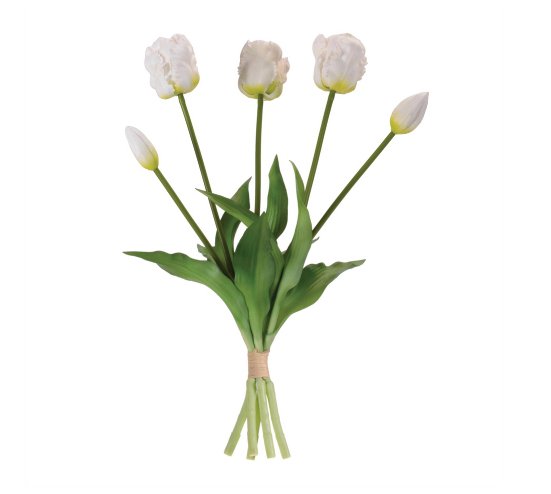 White Tulip Bundle