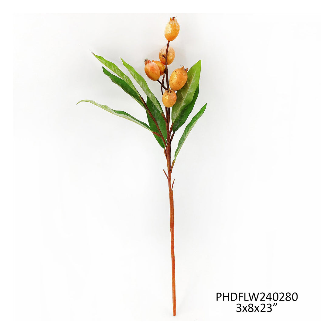 Loquat Stem