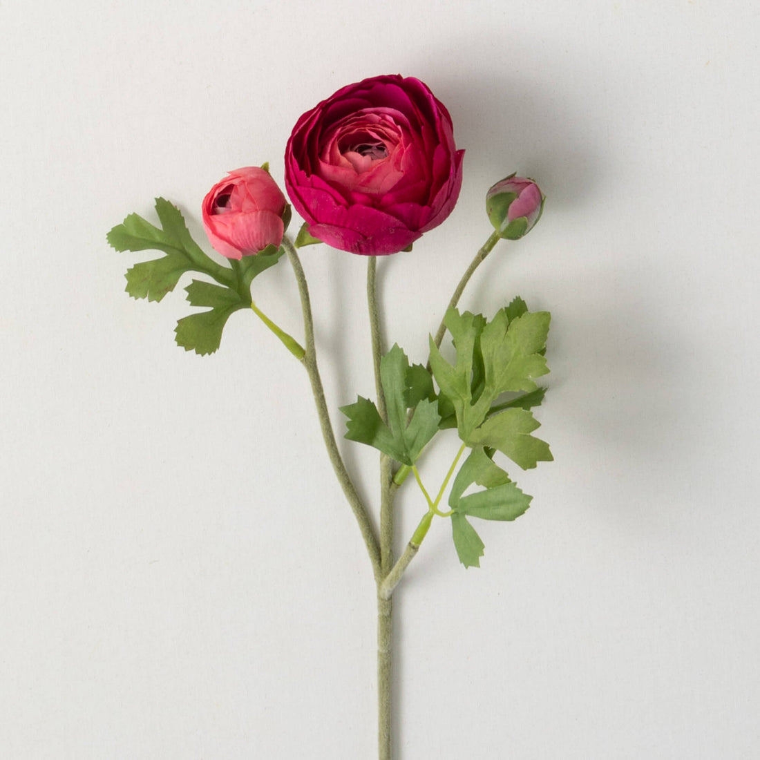 Ranunculus Spray - Dark Pink