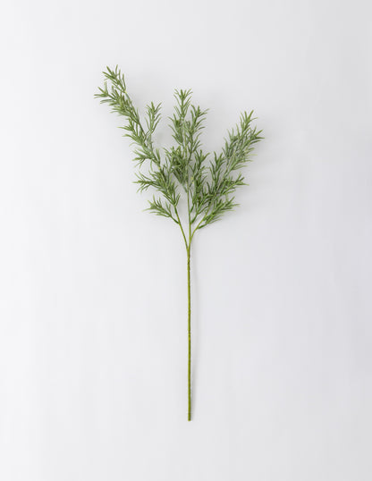 Rosemary Stem 26&quot;