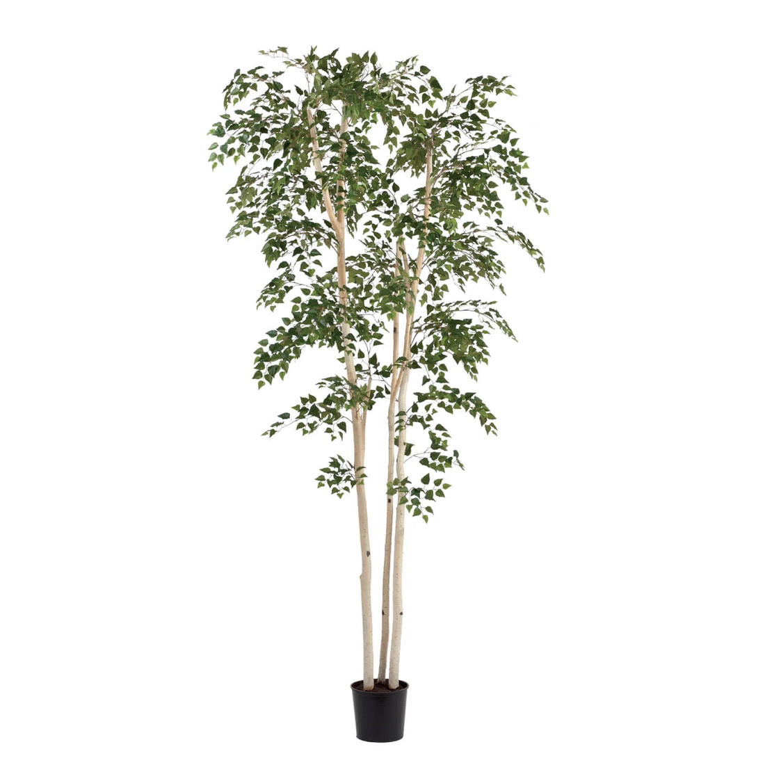 Faux Birch Tree - 8&
