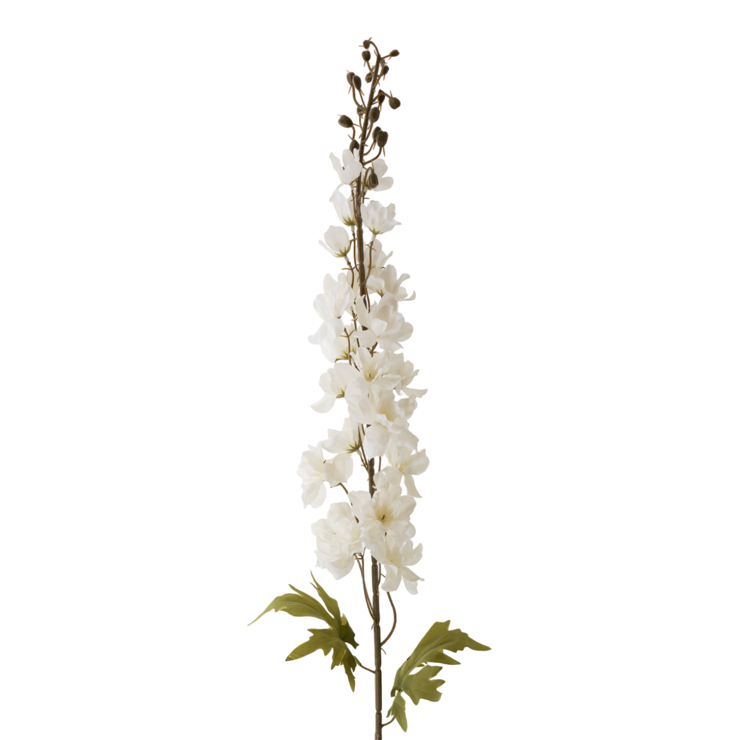 42" White Delphinium