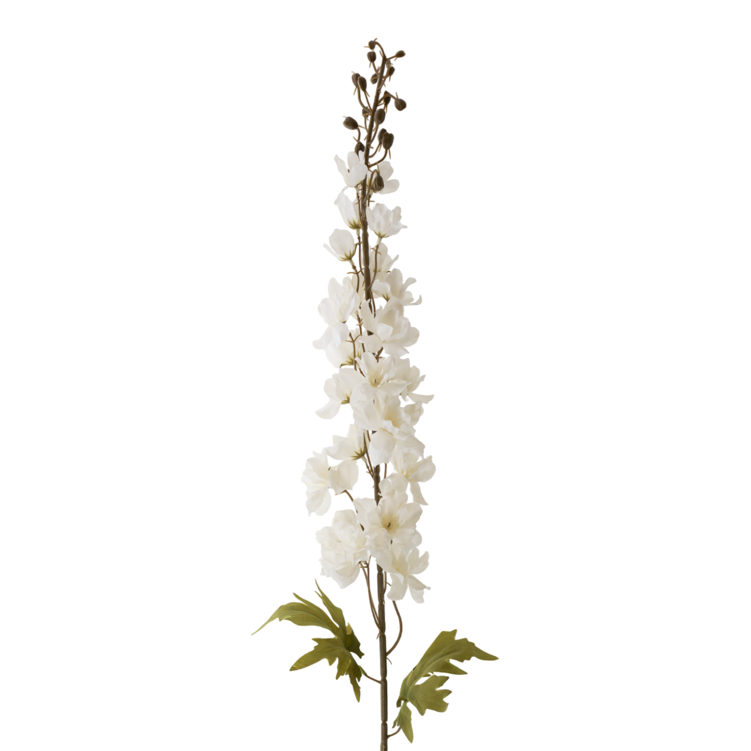 42" White Delphinium