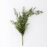 Draping Ruscus Bush  24"