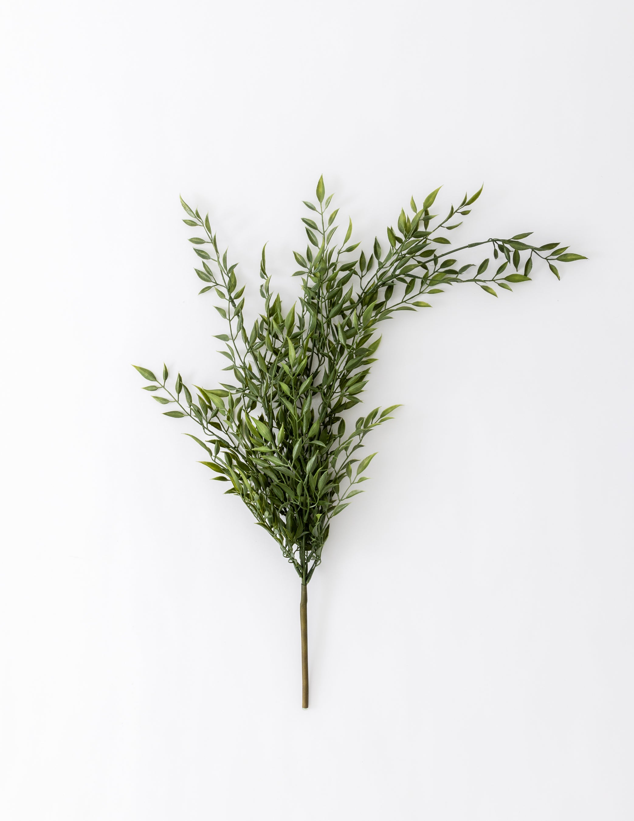 Draping Ruscus Bush  24&quot;